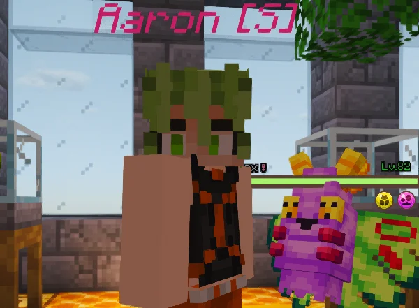 Aaron thumbnail 2
