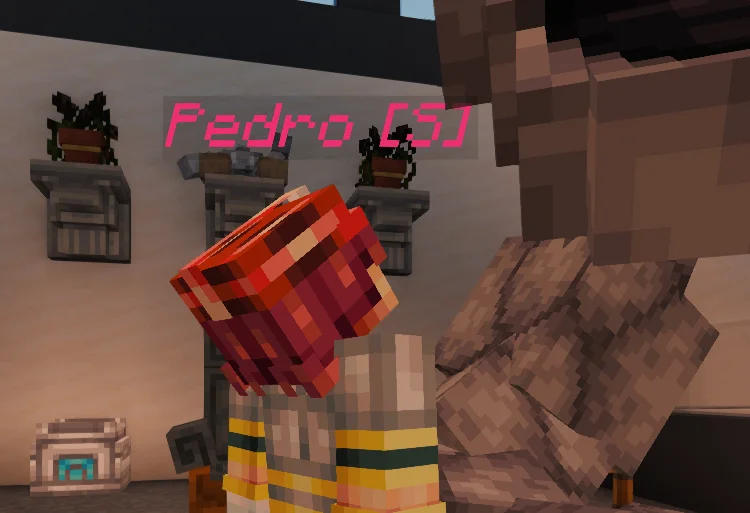 Pedro - Close-up of Pedro before the battle